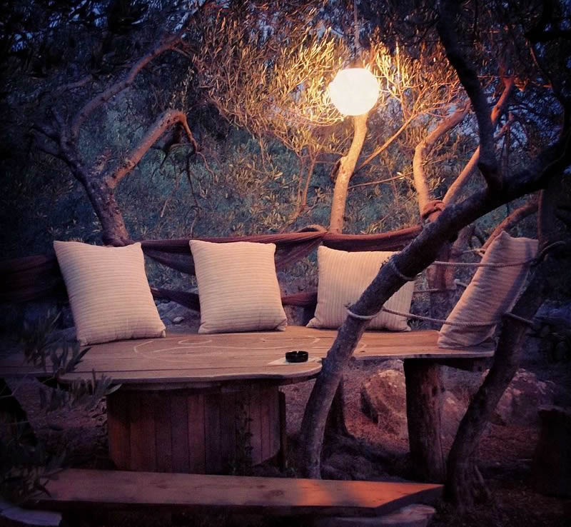 maslina živogošće